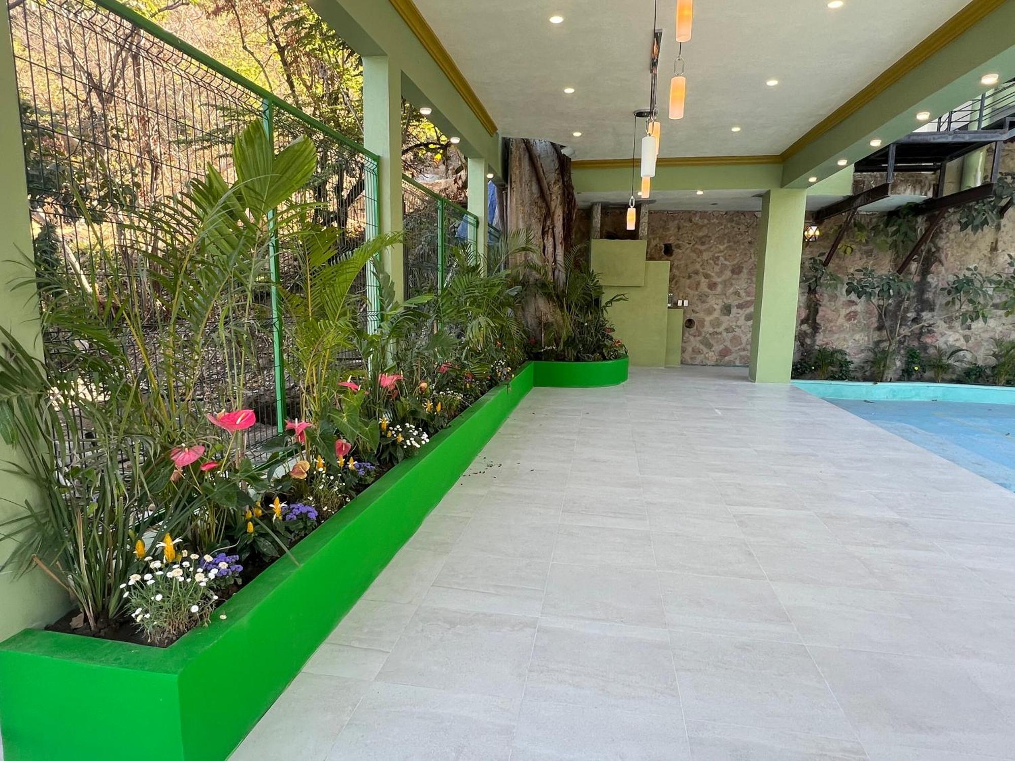 South Shore Villa Armonia Luxury Boutique Puerto Vallarta Exteriör bild